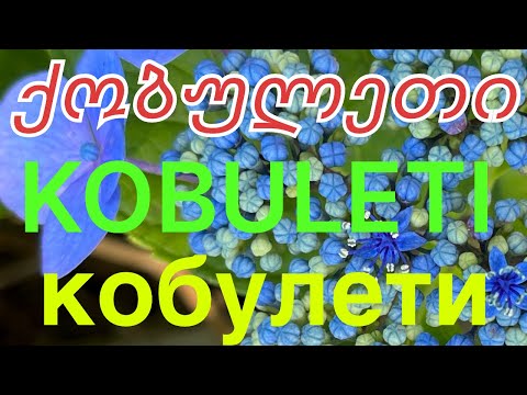 Видео: Как сэкономить в Кобулети: цены, связь, банки, транспорт. Часть I.