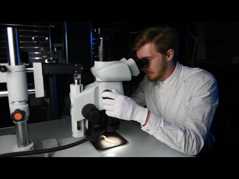 Видео: Лекция «От разведки до 3D модели: Современная археология и реставрация» 21.01.2024