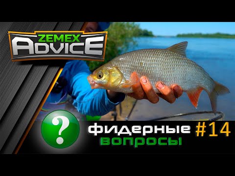 Видео: ВСЁ О ФИДЕРЕ / ОТВЕТЫ НА ВОПРОСЫ / ZEMEX Advice