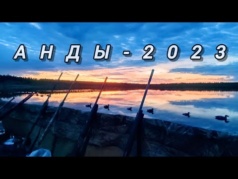 Видео: Анды 2023./ Мында5аайы. /Охота на турпана в Якутии./