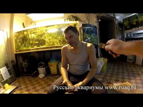 Видео: Изготовление аквариума с крышкой и тумбой