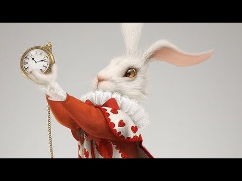 Видео: Ключи, подсказки