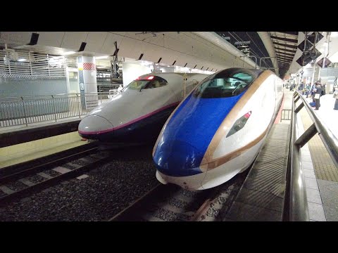 Видео: Из Токио в Нагано за 1 день: приключения в самурайских замках и священных храмах!