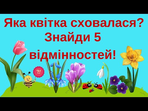 Видео: «Відгадай, яка квітка сховалася?» «Знайди 5 відмінностей»  Дидактичні ігри