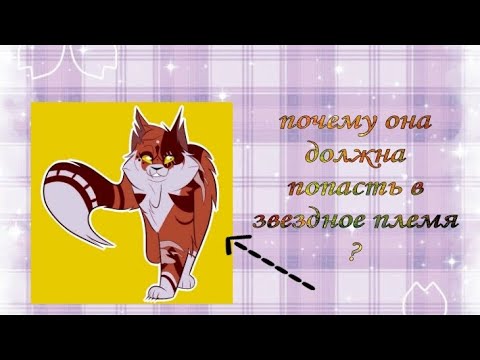 Видео: Почему Кленовница должна попасть в звёздное племя? / Теории /Коты воители / Белолапая кв