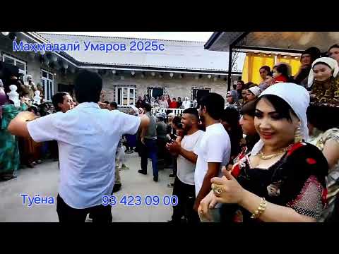 Видео: Махмадали Умаров 2025с Туёна 