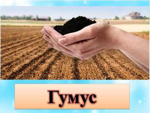 Видео: 3 класс, 3 четверть Естествознание, урок 2, Основной состав почвы