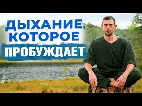 Видео: 45 вдохов и выдохов, которые перезапускают тело