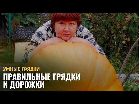 Видео: Правильные грядки и дорожки / Умные грядки