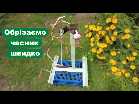 Видео: Станок для обрізки часнику !!!