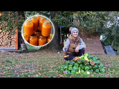 Видео: Урожай перца, баклажан и натуральный домашний сок)