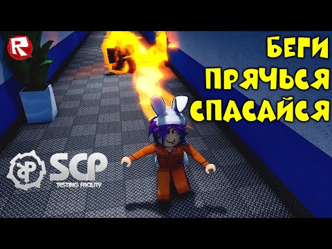 Видео: НОВЫЙ ПОБЕГ из БУНКЕРА в роблокс | SCP Testing Facility roblox