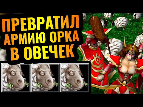 Видео: МАССОВЫЙ ПОЛИМОРФ: Альянс придумал НОВУЮ СТРАТЕГИЮ в Warcraft 3 Reforged