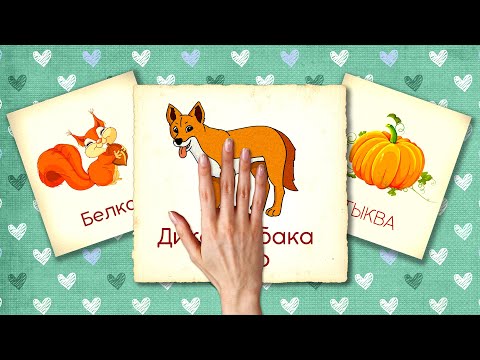 Видео: Сборник №7 - 20 минут | Карточки Домана | Развивающие мультики для детей