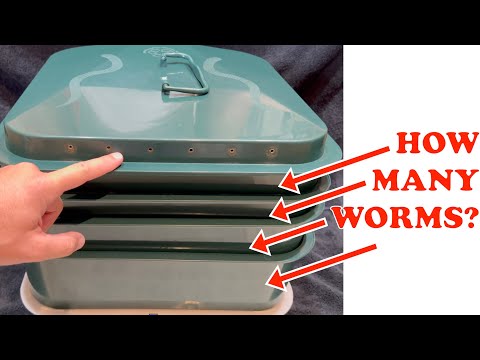 Видео: Сколько червей ожидать на каждом уровне вашей червячной башни | Ферма вермикомпоста