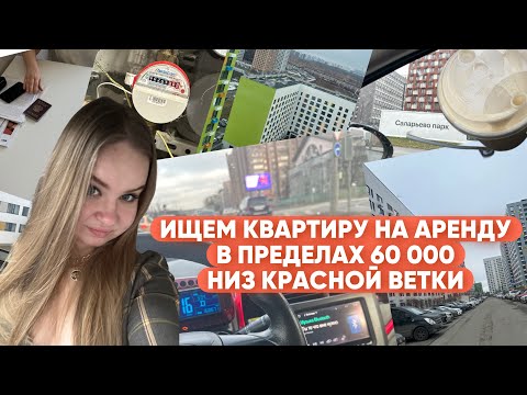 Видео: Срочный переезд в Москву: как найти квартиру за 3 дня?