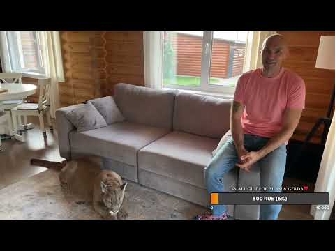 Видео: Прямой эфир🎉🎉