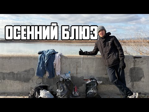 Видео: 🧤 Осенний блюз. Экология – дело каждого