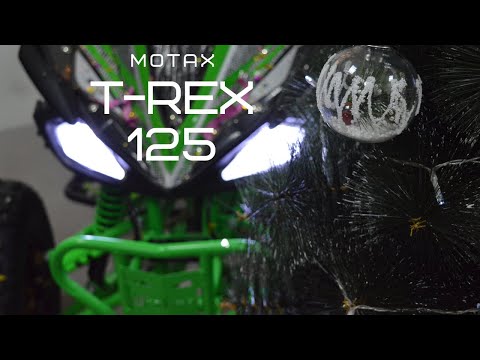 Видео: Обзор квадроцикла T-Rex 125сс