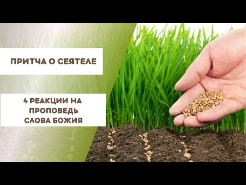 Видео: Притча о сеятеле | Библейский урок