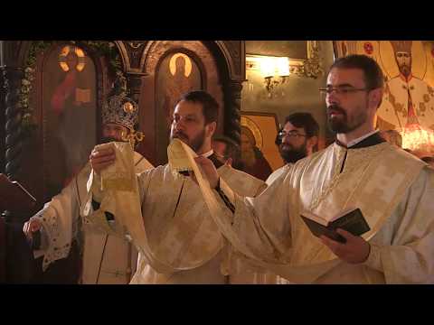 Видео: Слава Саборног храма у Зајечару - Архијерејска Литургија