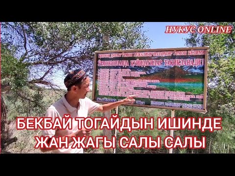 Видео: БЕКБАЙ ТОГАЙДЫН ИШИНДЕ САЛЫ ЕККЕН  ФЕРМЕР.