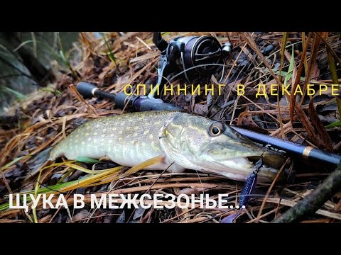 Видео: Спиннинг в межсезонье!!! Ловля щуки в декабре!!!