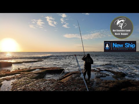 Видео: Какой день!!!! Ловля трески на берегу в Нортумберленде в формате 4K