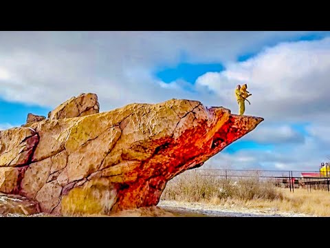 Видео: Львенок ШерХан покорил ГОРУ СЛАВЫ, ожившие картинки из мультфильма «КОРОЛЬ ЛЕВ»!