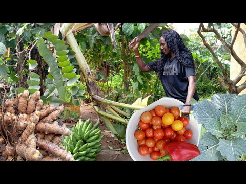 Видео: Сбор овощей на нашей небольшой городской ферме