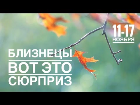 Видео: Близнецы ♊️ 11-17 ноября 2024 года 🗝☀️🍀✨🍁Таро Ленорман прогноз предсказания