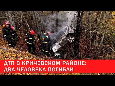 Видео: ДТП в Кричевском районе: 2 человека погибли | Зона Х