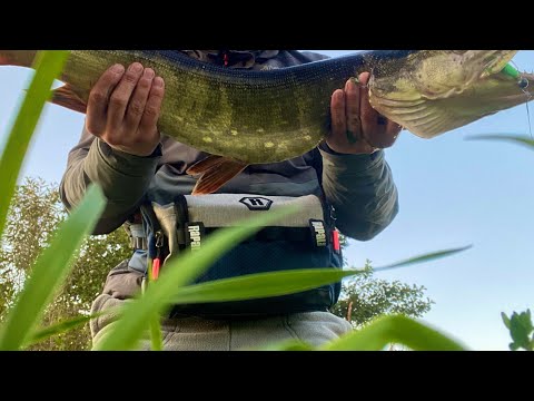 Видео: Видеообзор пояса Rapala CountDown для интернет-магазина «fMagazin»