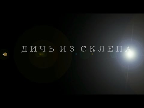 Видео: Дичь из склепа (Трейлер) [Готика 2 Машинима - Gothic Machinima- Trailer]