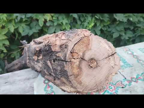 Видео: Рецепт домашнего коньяка 💯👍