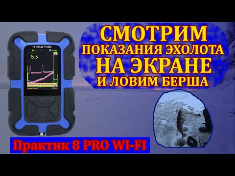 Видео: Берш Горьковского моря. Эхолот Практик 8 Pro Wi Fi в работе.