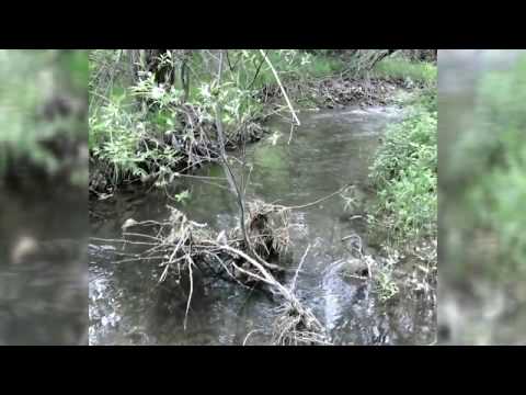 Видео: Дорога в Байжансай