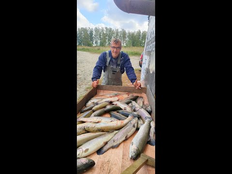 Видео: Клевая рыбалка в Ледово