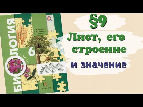 Видео: Краткий пересказ §9 Лист, его строение и значение. Биология 6 класс Пономарева