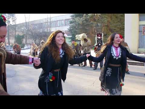 Видео: село кралев дол 2024 Сурва