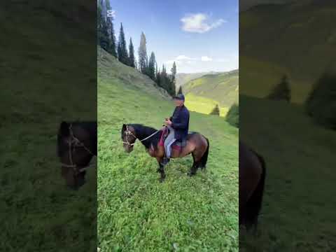 Видео: 22 сентября 2024 г.