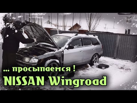 Видео: NISSAN Wingroad Просыпаемся !!!