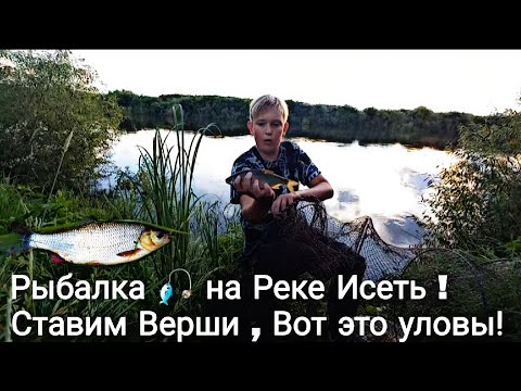 Видео: Рыбалка 🎣 на Реке Исеть в этом сезоне ! Расставляем Большие  Верши и проверяем Вот это Уловы на реке