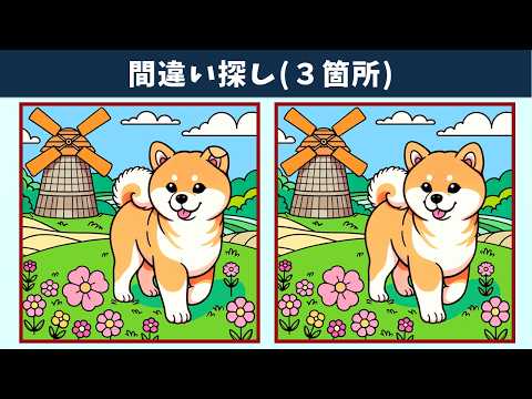 Видео: Найдите 3 отличия | Иллюстрация Версия #1752