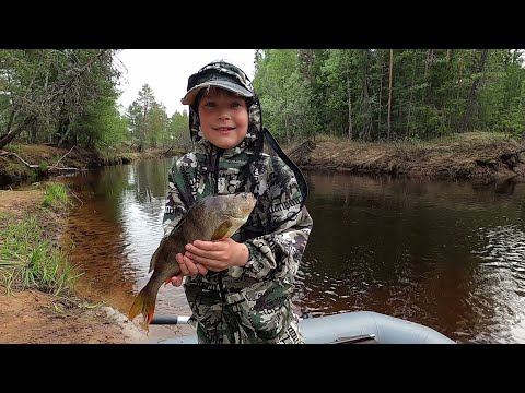 Видео: НА ЯМАЛЕ ЖАРА И НАЧАЛ КЛЕВАТЬ КРУПНЯК, МАЛОЙ ВСЕХ ОБЛОВИЛ)! РЫБАЛКА НА ДИКОЙ, КРАСИВОЙ ТАЁЖНОЙ РЕКЕ!