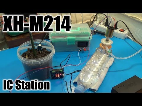 Видео: XH-M214 Реле с датчиком влажности почвы / Полный обзор / ICStation