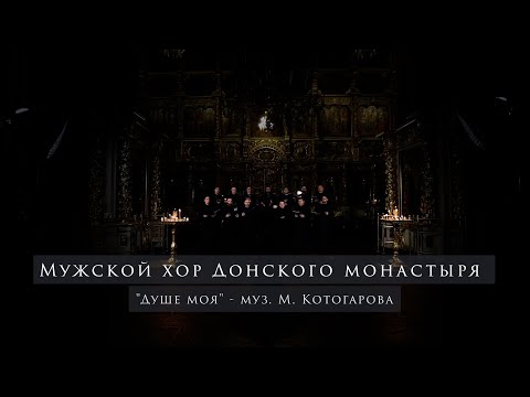 Видео: Мужской хор Донского монастыря. "Душе моя" - муз. М. Котогарова