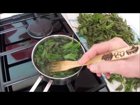 Видео: Нарвала сныти и приготовила 3 блюда. Вот что у меня получилось. #сидимдома #StayHome