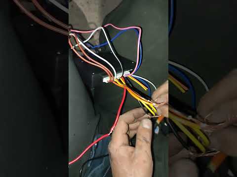 Видео: 16 января 2024 г.