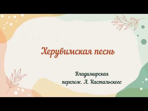 Видео: Иже херувимы... Владимирская,перелож. А. Кастальского #божественнаялитургия